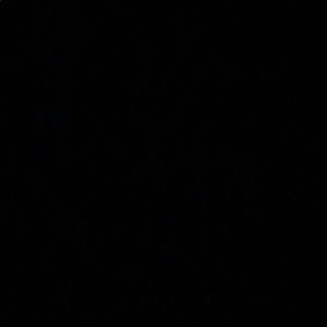 Meet your Posher, Cody